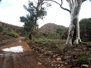 Brachina Gorge
