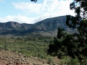 Bunyeroo Valley