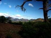 Bunyeroo Valley
