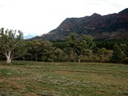 Bunyeroo Valley