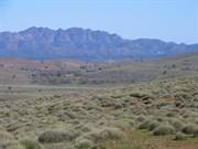 View west to rim of Wilpena Pound