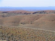 View east over spinifex tufts