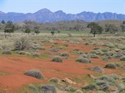 Flinders Ranges colours around Wilpena
