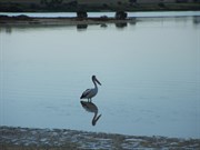 Streaky Bay