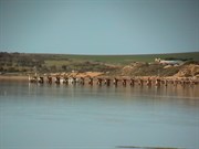 Streaky Bay Jetty