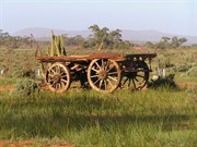 Wagon