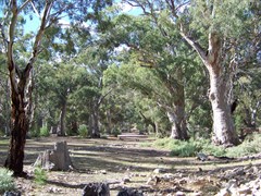 Mambray Creek