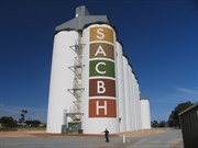 Wudinna wheat silos