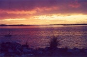 sunset over coffin bay