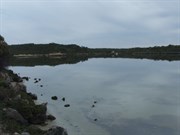 Little Yangie Bay