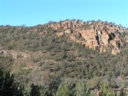 Warren Gorge