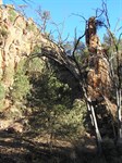 Warren Gorge