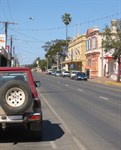Peterborough Town Hall on right with coconut palm in backgroun