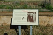 Terowie