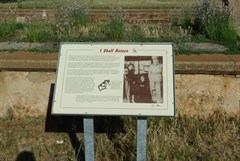 Terowie