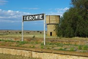 Terowie