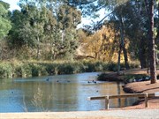 The Burra Creek Picnic Area