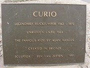 The Plaque at Curios Statue
