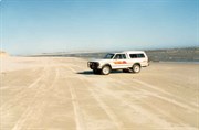 Murray Mouth 1986