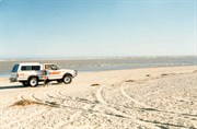 Murray Mouth 1986
