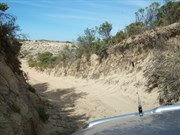 Dune%2bTrack%2bon%2bthe%2bBeach%2bRun