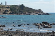 Mersey Bluff