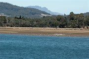 Mud flats at the Spreyton bank of the Mersey River estuary