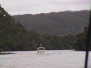 Fatman barge crossing on the Pieman at Corinna