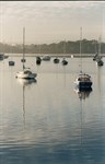 Beauty Point Tasmania
