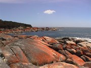 Grants Point