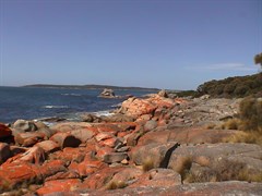 Grants Point