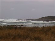 Granville Harbour