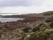 Granville Harbour