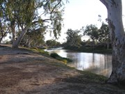 Town Common and Cooper Creek - Innamincka