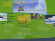 Trial Harbour tourist board