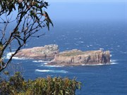 Views from Cape Tourville
