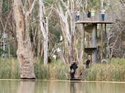 © Simon Bayliss/Outback NSW Tourism