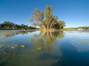 © Simon Bayliss/Outback NSW Tourism