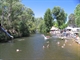 Summertime%2bswimming%2bin%2bOvens%2briver