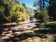 The Ovens River at Bright (March 1999)
