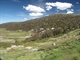 Summertime ski slopes