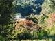 A1 Mine from the road to Woods Point (1999)
