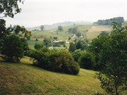 A view in the town of Buchan (1999)