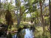 Down stream form the Galvin Gorge