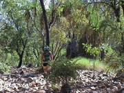 Walking into Bells Gorge