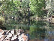 Image from the walk into Bell Gorge