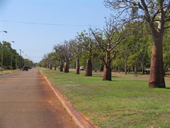 Derby