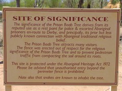 Prison Boab Tree