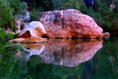 Windjana Gorge