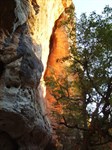 Windjana Gorge